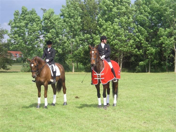 Dansk Varmblod Lock fight (død) - præmie overrækkelse til DM billede 2
