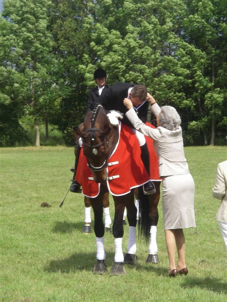 Dansk Varmblod Lock fight (død) - DMi thusenæs billede 3