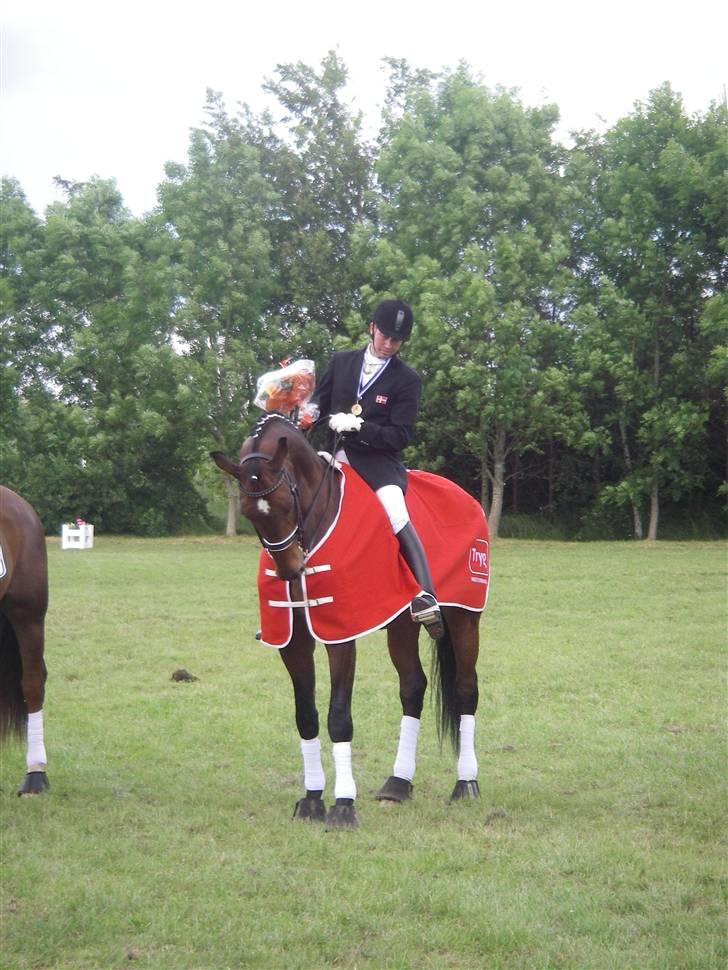 Dansk Varmblod Lock fight (død) - ny dansk mester billede 4