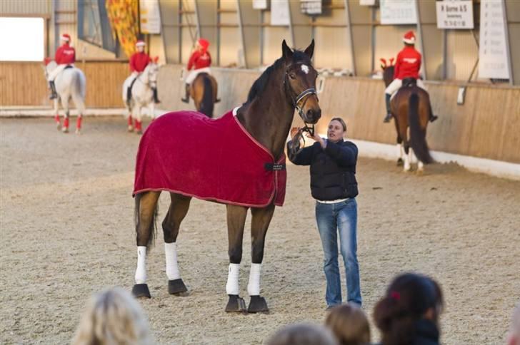Dansk Varmblod Lock fight (død) - juleafslutning 2007 billede 5