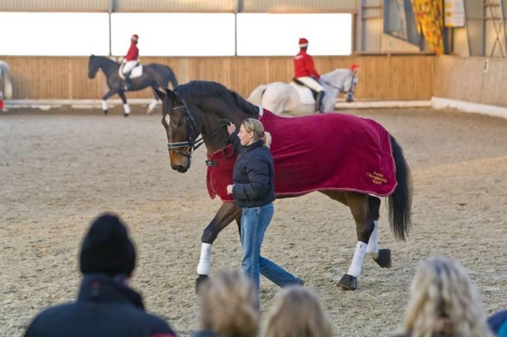 Dansk Varmblod Lock fight (død) - juleafslutning 2007 billede 8
