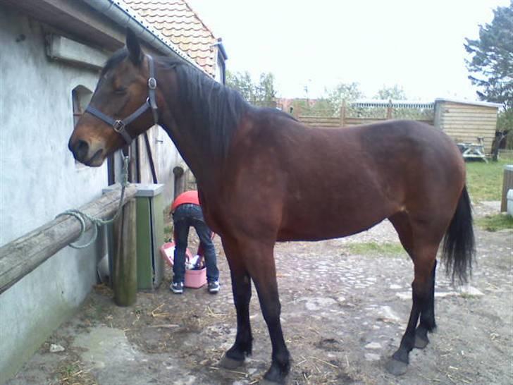 Traver **-<3Elli Star<3-** - her, står vi så og strigler lidt :-) billede 3