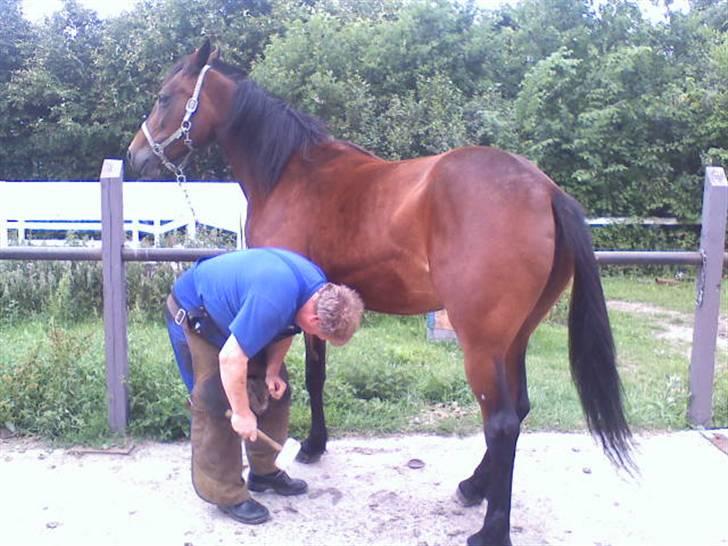 Traver **-<3Elli Star<3-** - NYT: så skal vi lige ordne noget... :-) uhh... ihh! STOP! det kilder! :-) billede 5