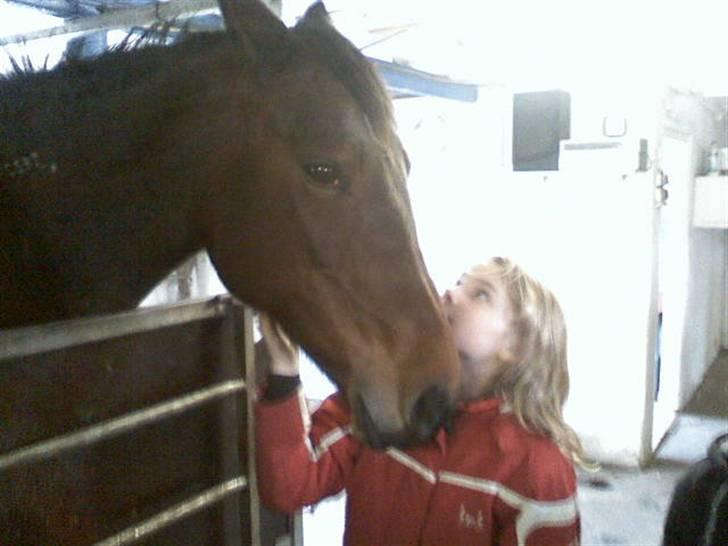 Traver **-<3Elli Star<3-** - så står de alle sammen og kigger på mig.... er jeg ikke også flot? X) billede 7