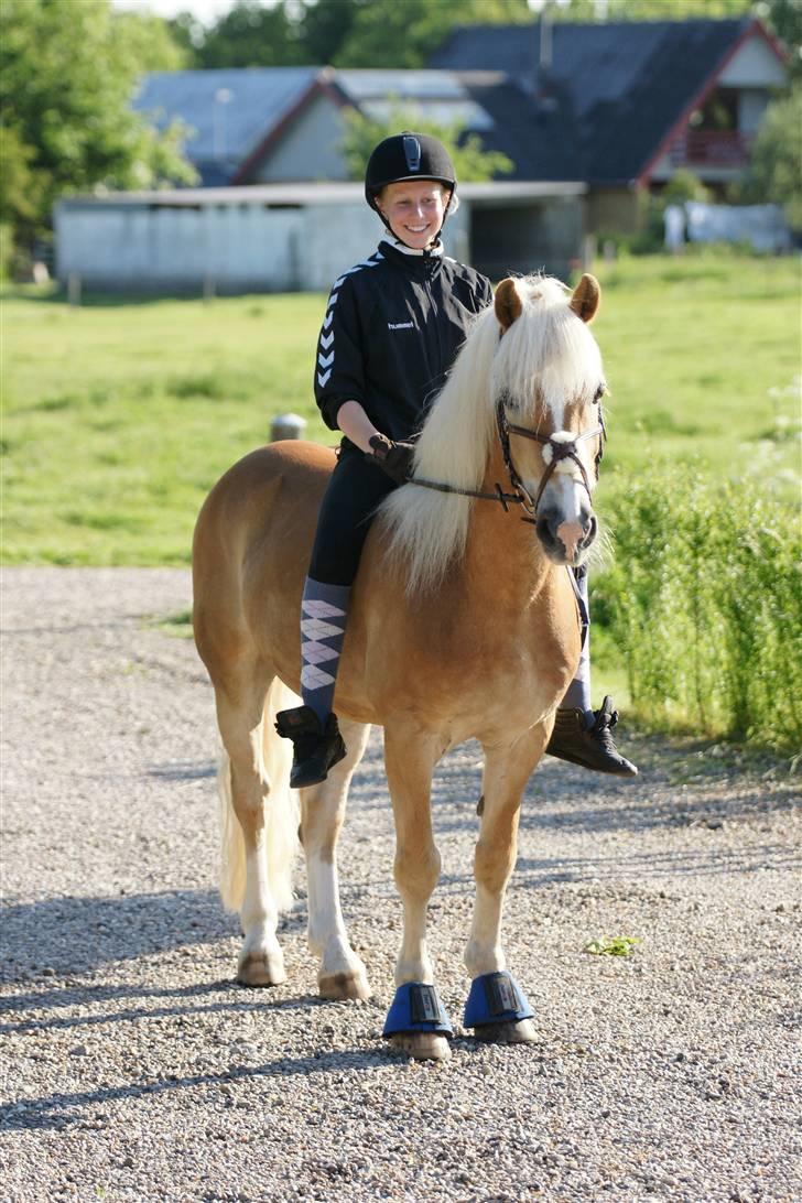 Tyroler Haflinger Story - Et af mine yndlingsbilleder af Story og jeg. Taget af: Brian Kire billede 3