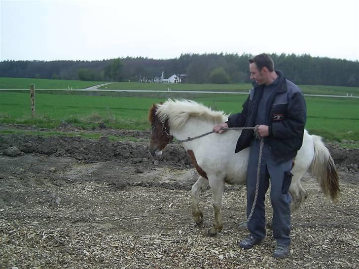 Pinto Djina <3 "Byttet" :/ - Jajajah,, ;b billede 18