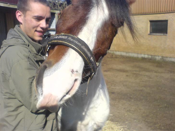 Anden særlig race Pepsie billede 5