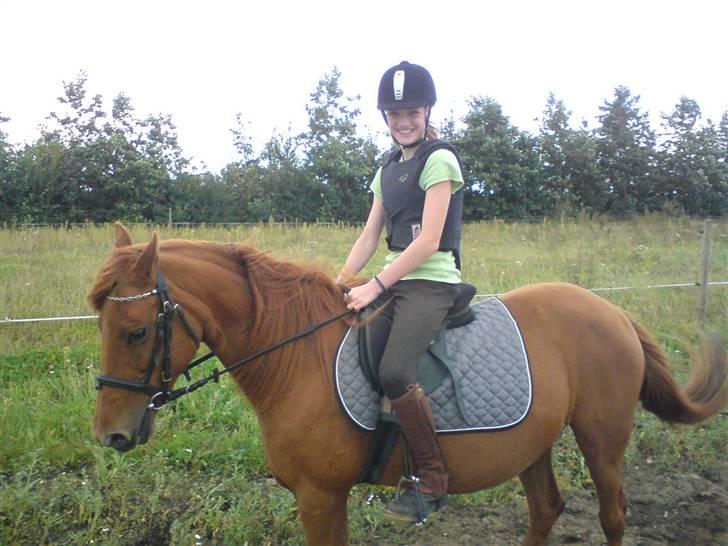 Anden særlig race Marina billede 5