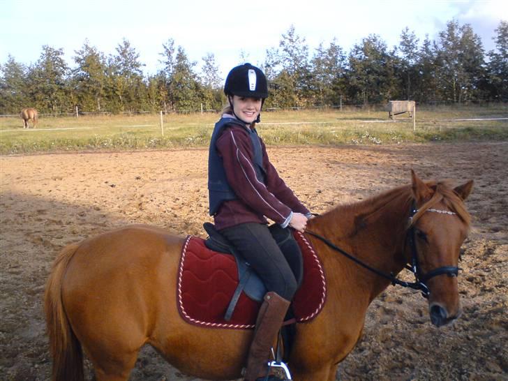 Anden særlig race Marina - os på ride banen billede 6