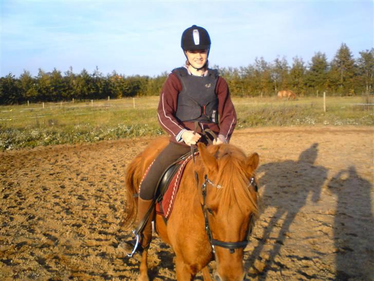 Anden særlig race Marina billede 8