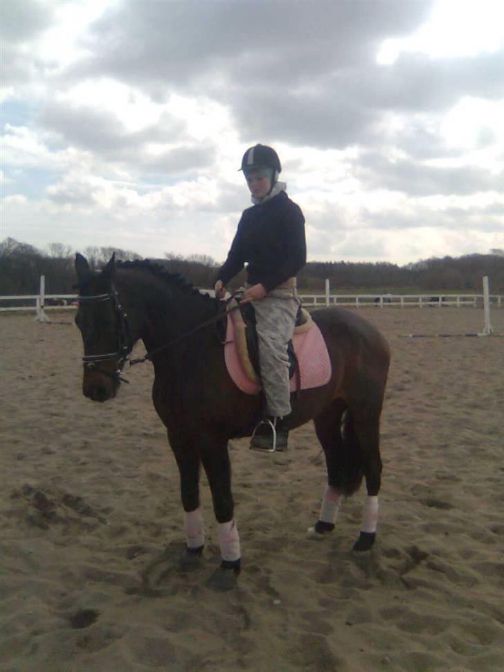 Traver anni caine   Solgt - HUn er smuk:) min elskede anni caine  billede 6