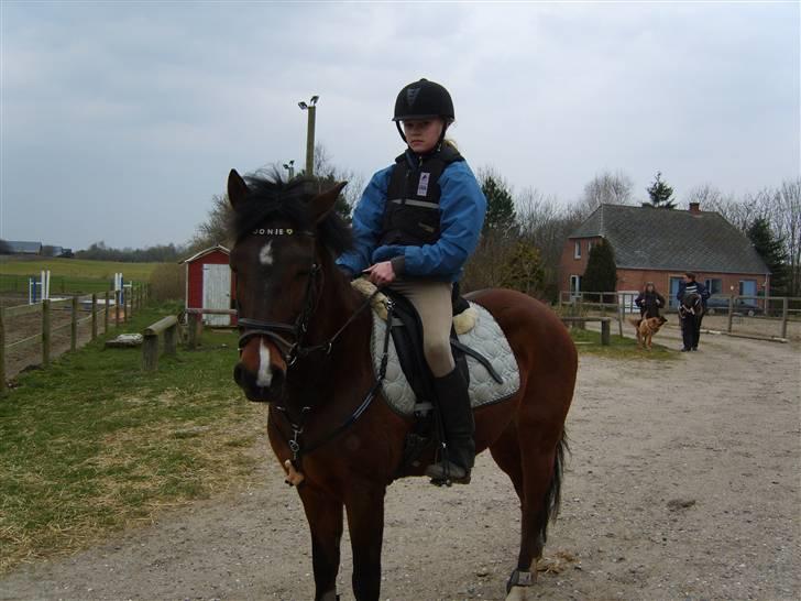 New Forest Jonie Skat<3!  billede 8