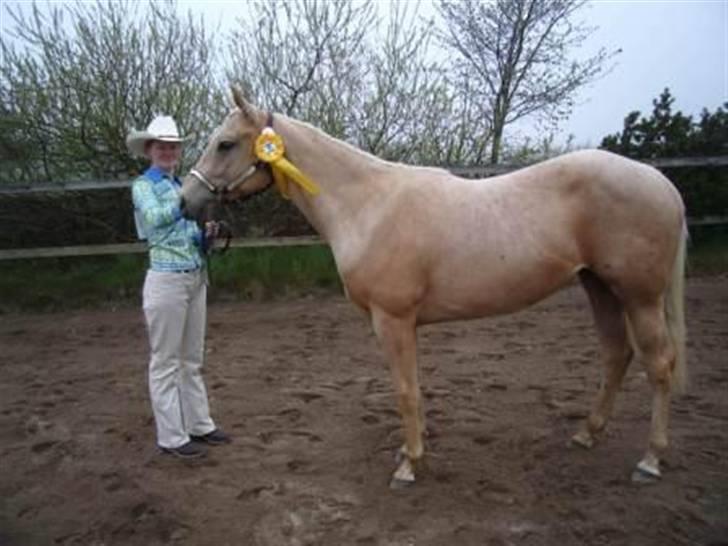 Quarter Tes Twinkie Winkie - OHWR 26 april 2008 billede 8