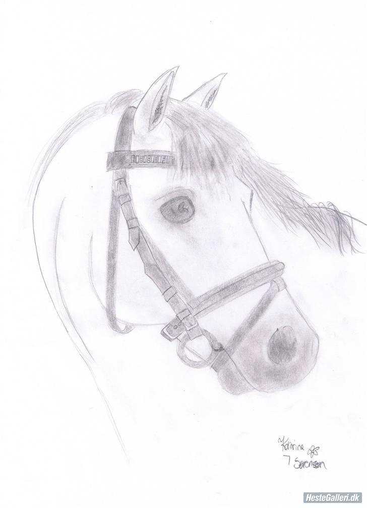 Anden særlig race Mizar <3 - Det her flotte billede har Kathrine med Rebecca her inde fra tegnet! Tusinde tak. billede 2