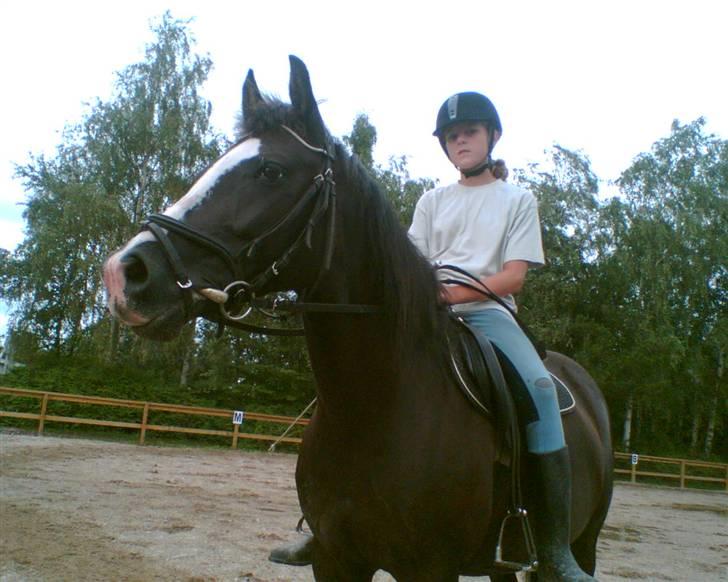 Anden særlig race Black Beauty (SOLGT) - mig og min pony da jeg næsten fået hende  billede 2