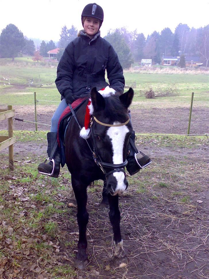 Anden særlig race Black Beauty (SOLGT) - mig og min pony efter en tur i skoven:Ø) billede 3