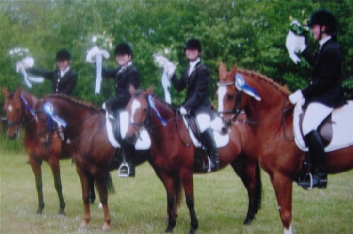 DSP Cassie - Sydjysk mesterskab hold 2005 2 pl billede 19