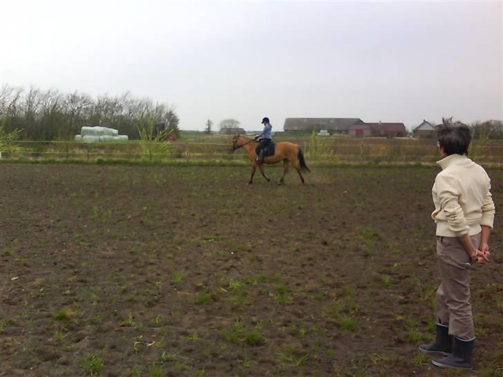 Anden særlig race Bonnie  billede 2