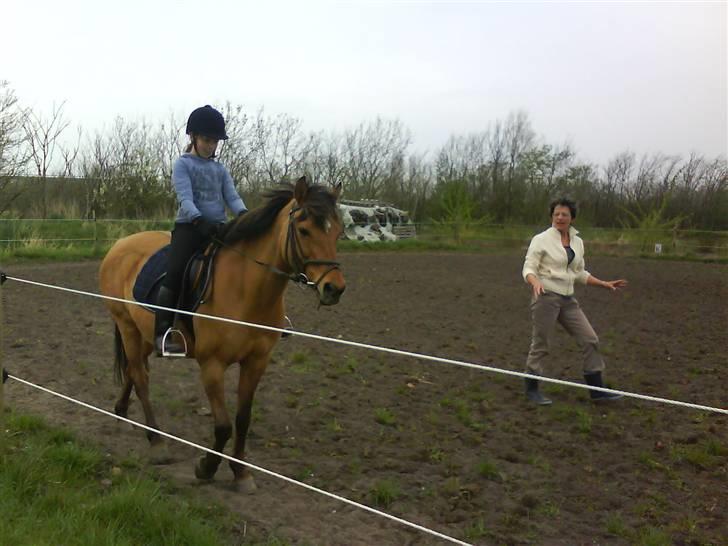 Anden særlig race Bonnie  billede 5