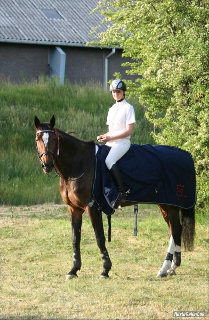 Dansk Varmblod Jasmin Ask - 1. plads i Mb (shr cup) billede 10