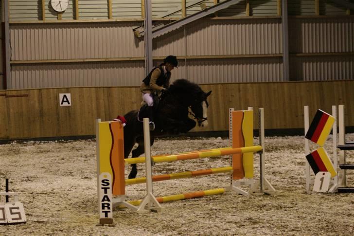 Hollandsk Sportspony Mandy <3 R.I.P 11/07/2010 - Mandy i LA - Talent? jaaaaer ! d; billede 1