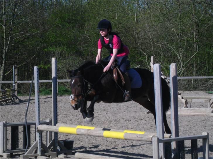 Anden særlig race May-day<3 *solgt* - elsker dig <3 (foto penny<3) billede 7