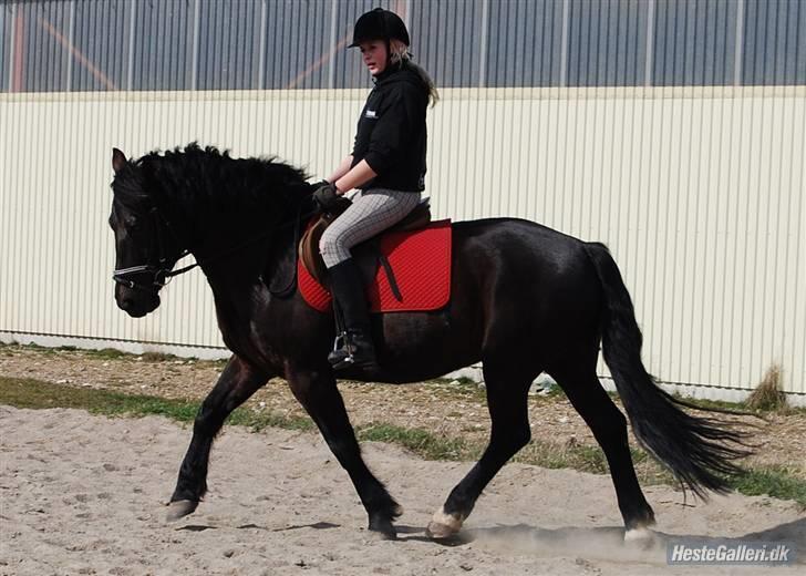 Oldenborg Hr. Lakrids <3   - Krisper i;  billede 8