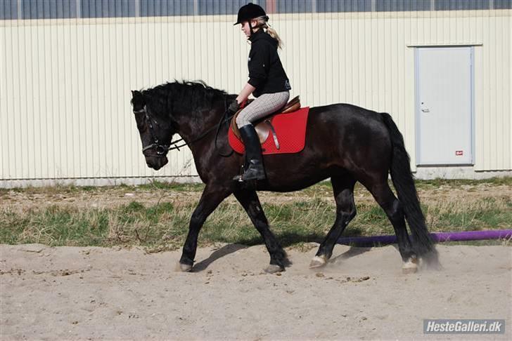 Oldenborg Hr. Lakrids <3   - - ved godt jeg får lænt mig for meget frem der!  billede 9