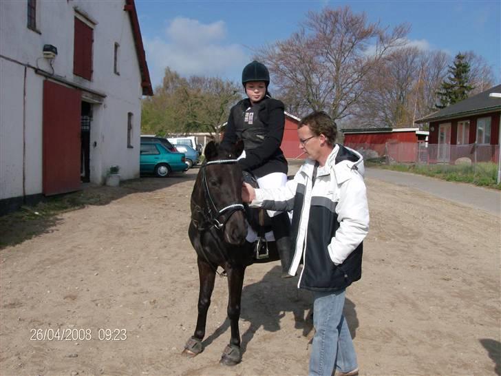 Anden særlig race Stacia - SOLGT - springstævne LD, nyborg rideklub april 2008 billede 15