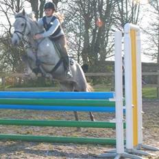 Anden særlig race Con Amor