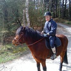 Anden særlig race Tyson<3* SOLGT <3*