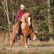Islænder Von fra Minna-Hofi(SOLGT)