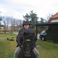 Anden særlig race Buster 