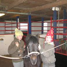 Anden særlig race Buster 