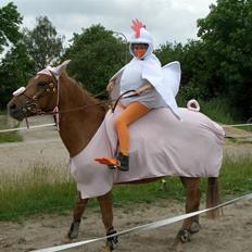 Anden særlig race Valentins Sirocco R.I.P