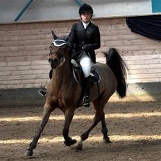 Anden særlig race *Speedy the speedfighter*