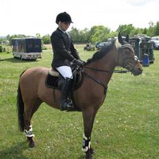 Anden særlig race *Speedy the speedfighter*