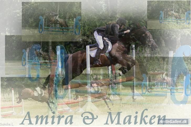 Welsh Cob (sec D)  - Amira (SOLGT) - 12; redigeret foto :D. Lææækker pony 8) billede 12