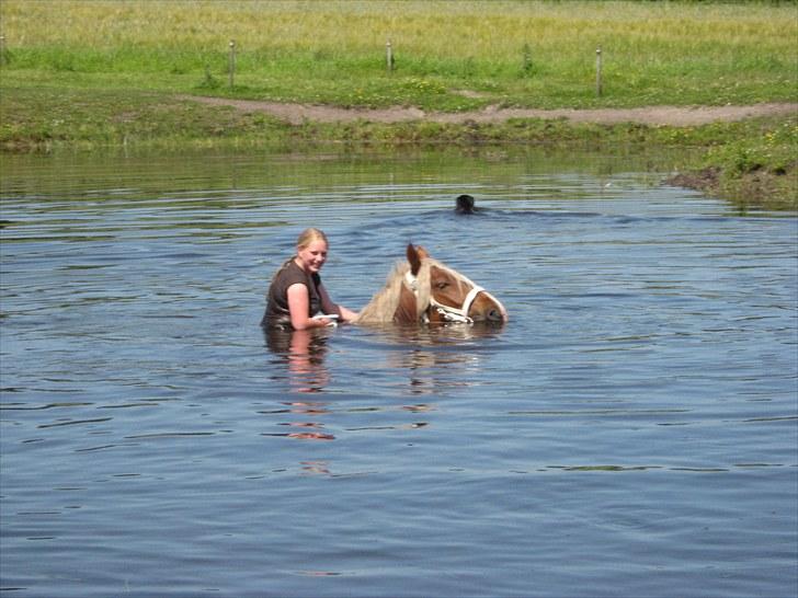 Jyde Emil &min hypper& - er jeg ikke sød :):):):):) : foto miig  billede 3