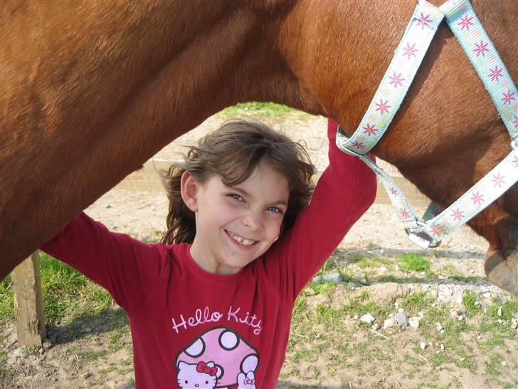 Dansk Varmblod Jeanet Von Pøl <3 R.I.P - Laura smiler billede 18