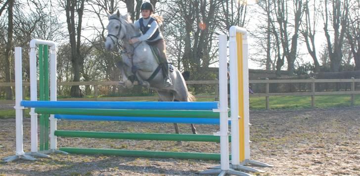 Anden særlig race Con Amor - TRIPPELBAR.  den var super sjov billede 1