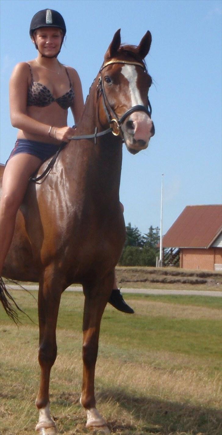 Sportsaraber (A) min smukke Joy  pynter på himmelen nu - en dag ved stranden 2010. billede 10