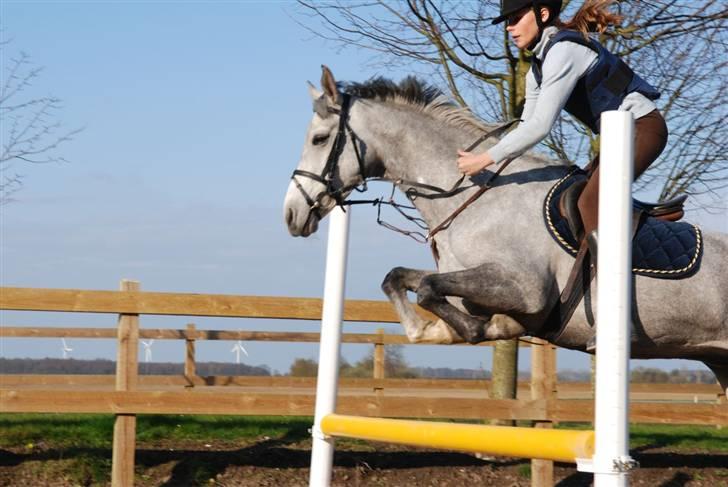 Anden særlig race Con Amor - Hjemme træning er altid dejlig;) billede 2