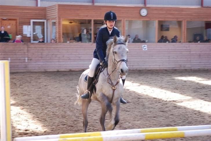 Anden særlig race Con Amor - Stævne med fart på, mark stævne billede 3