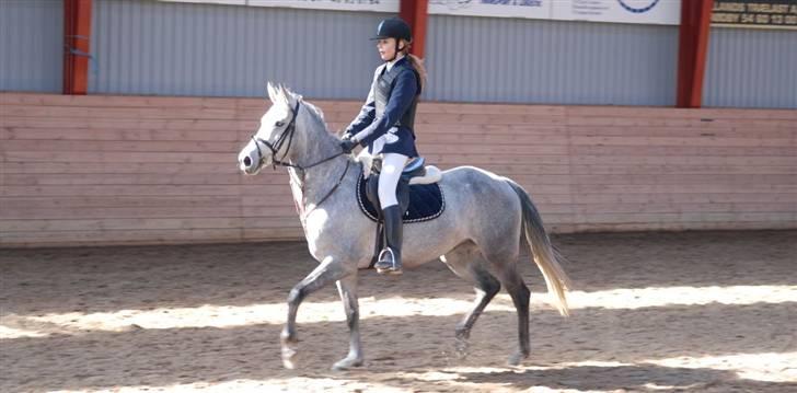 Anden særlig race Con Amor - Vi er klar! så kom bare;) mark stævne billede 4