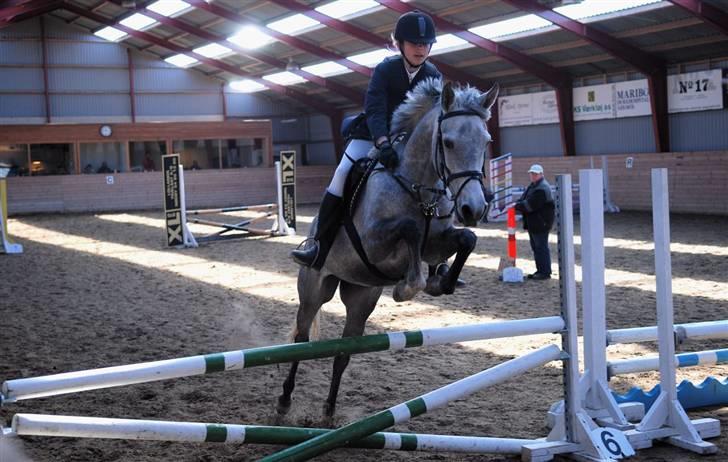 Anden særlig race Con Amor - Fremad er super... mark stævne billede 5