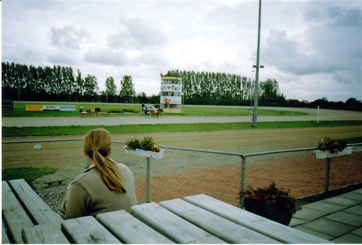 Gotlandsruss Cita *Nysted efterskole* - Tror det Erik & Cita der tager endnu en sejr hjem første dag.  billede 20