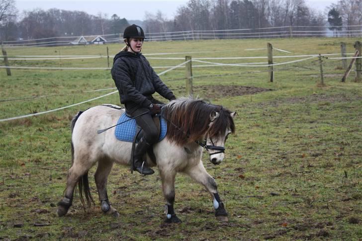 Anden særlig race Snebold  - Vi kan da godt gå pænt :)  Foto: Far billede 16