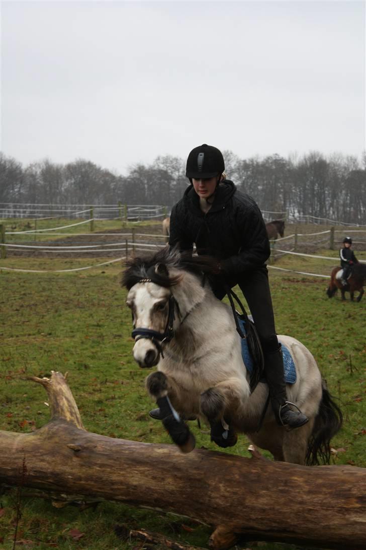 Anden særlig race Snebold  - Yeehar... Foto: Far billede 17