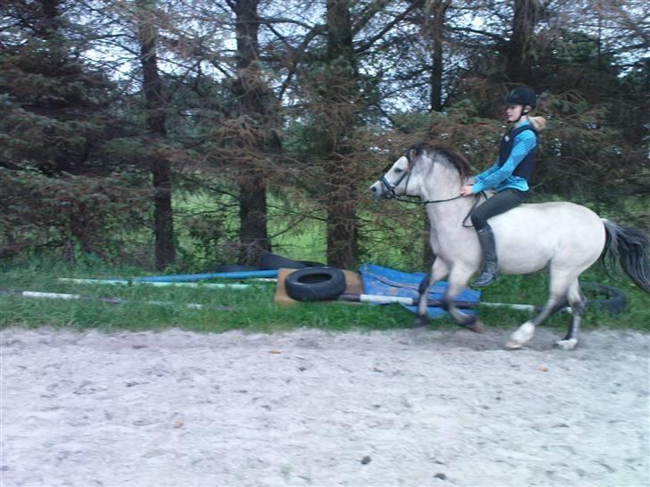 Anden særlig race Snebold  - Snebold & mig i fuld gallop <´3 Foto: Fanny billede 18